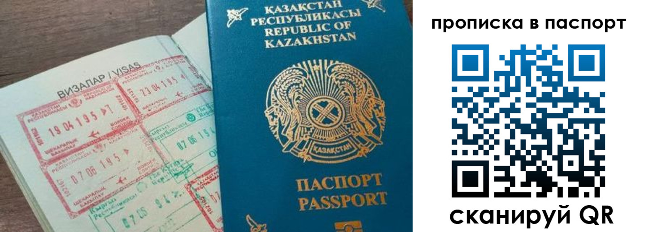 прописка поиск в Строителе